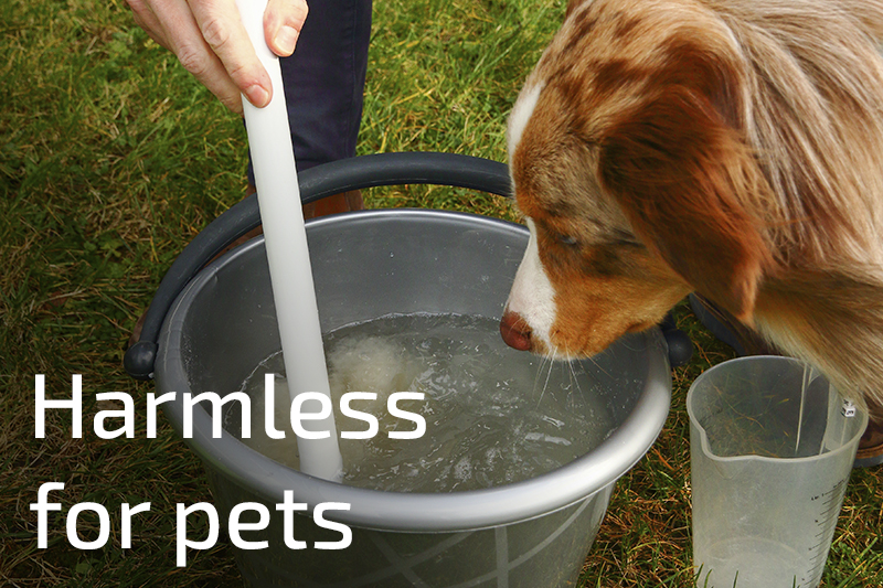 nematodes are completely safe for your pets.