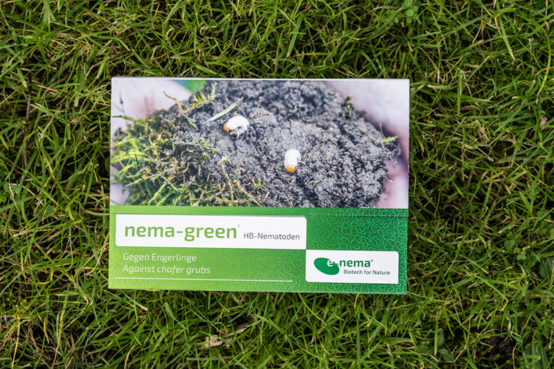 nema-green Nematoden gegen Maikäfer
