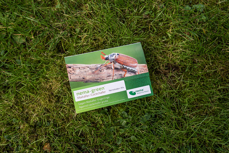 Maikäfer mit nema-green bekämpfen